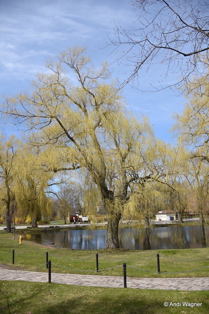 DSC-1757.JPG