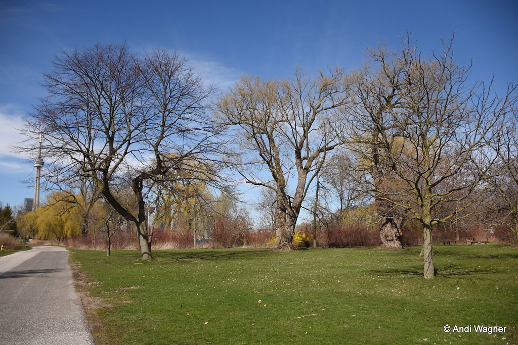 DSC-1830.JPG