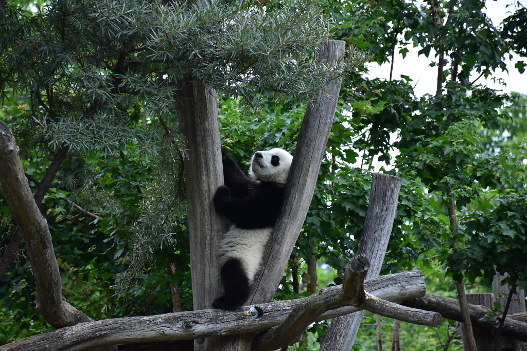 DSC-3006.JPG