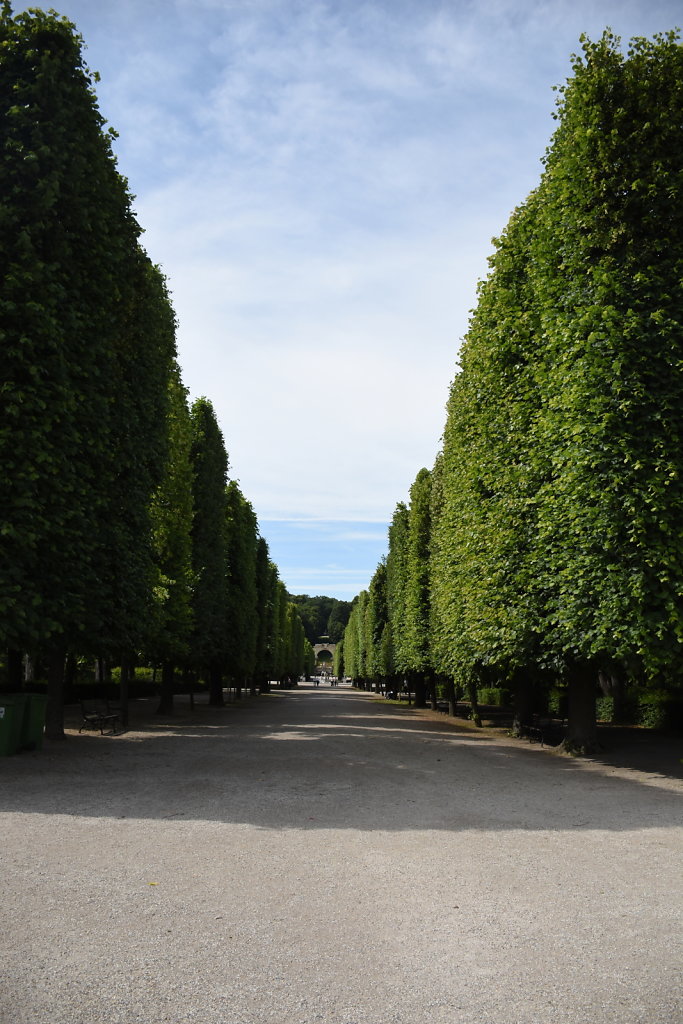 DSC-3085.JPG