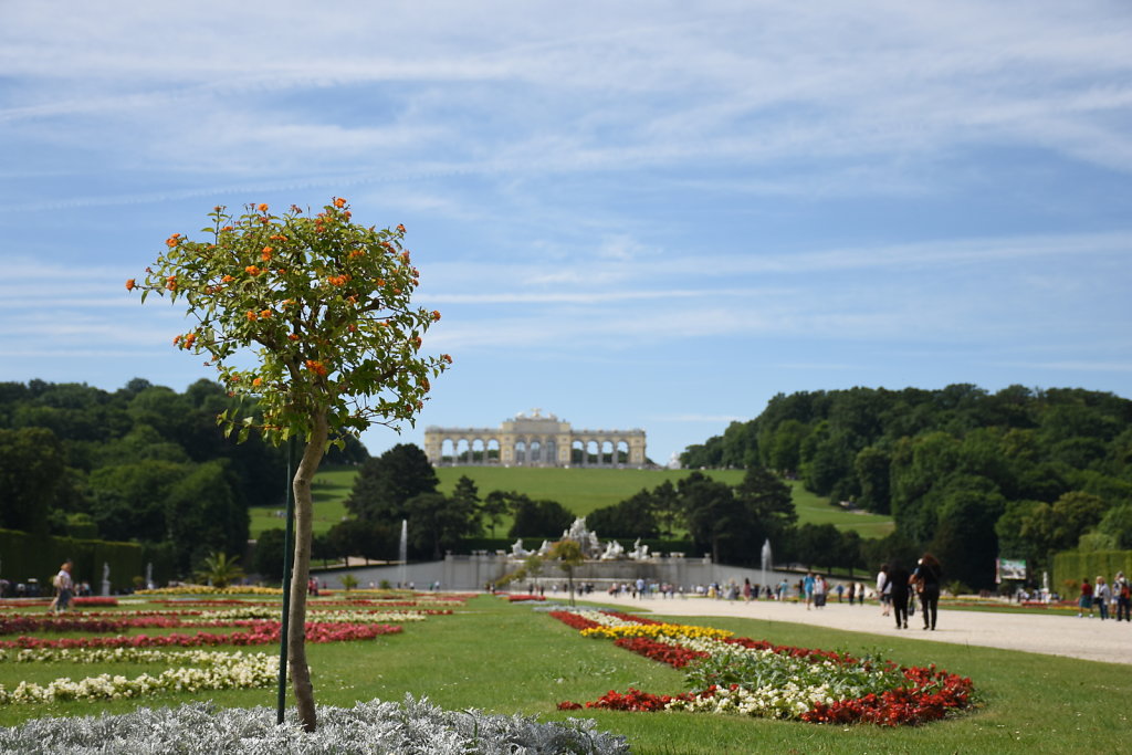 DSC-3113.JPG
