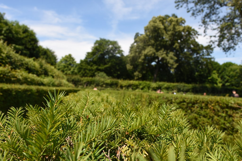 DSC-3215.JPG