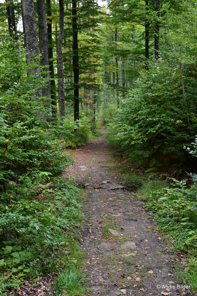DSC-5251.JPG