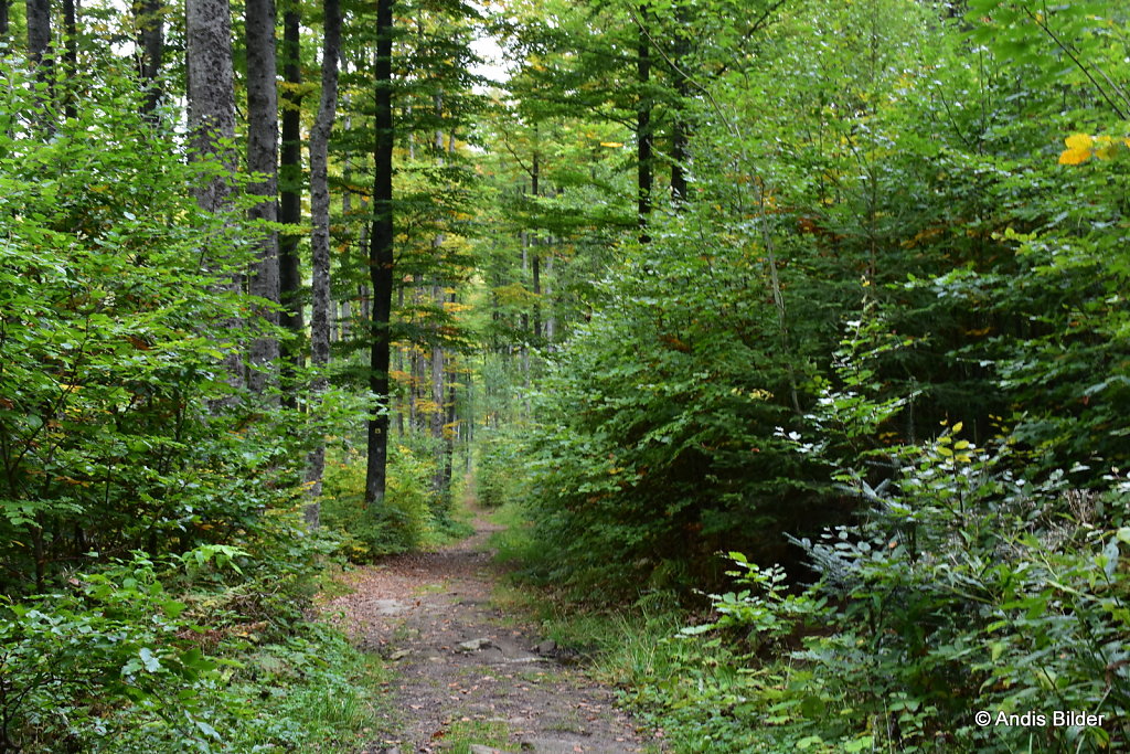 DSC-5252.JPG