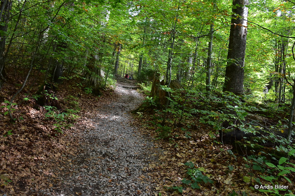 DSC-5286.JPG