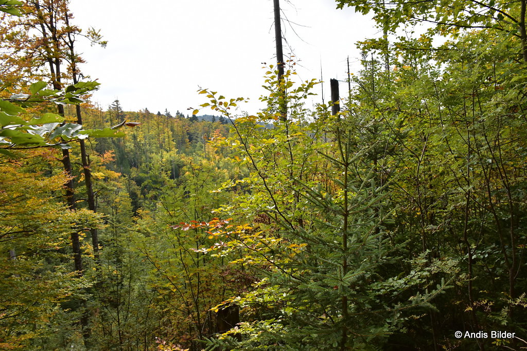 DSC-5300.JPG
