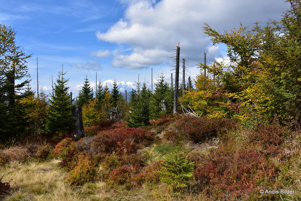 DSC-5401.JPG