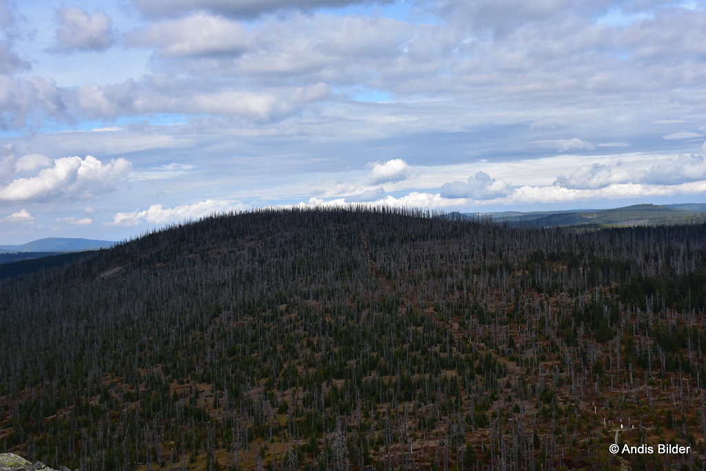 DSC-5456.JPG