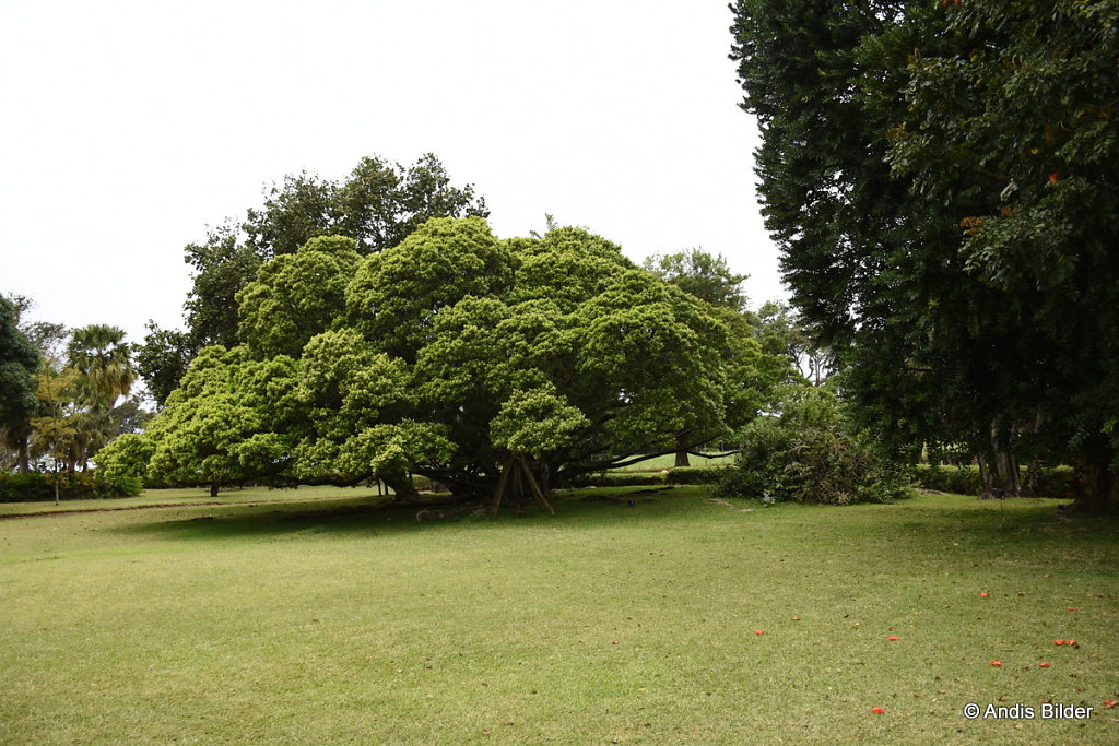 DSC-5737.JPG