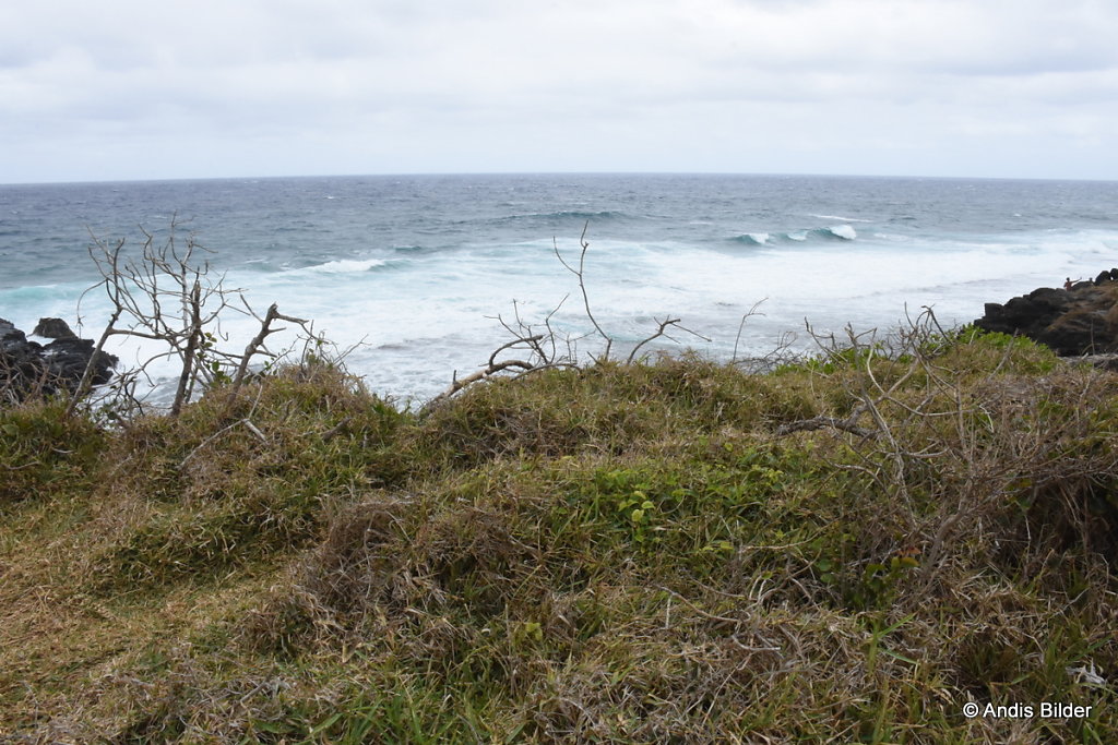 DSC-5754.JPG