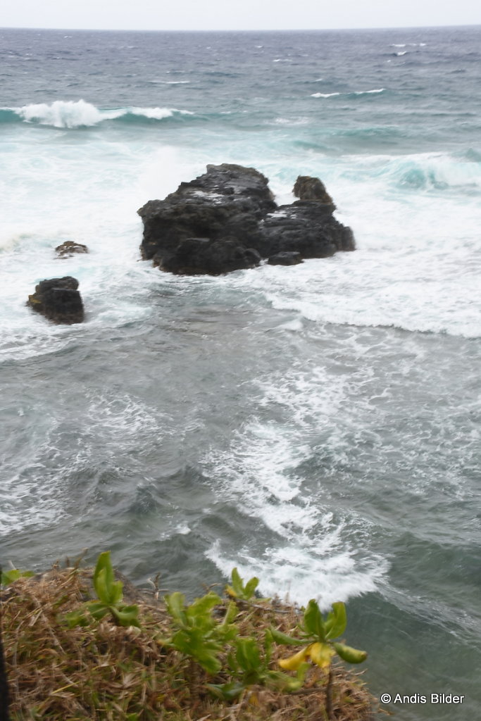 DSC-5790.JPG