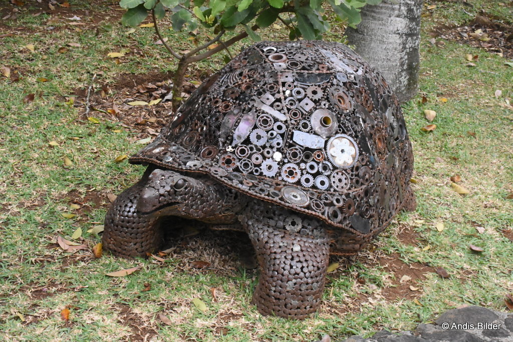 DSC-5806.JPG
