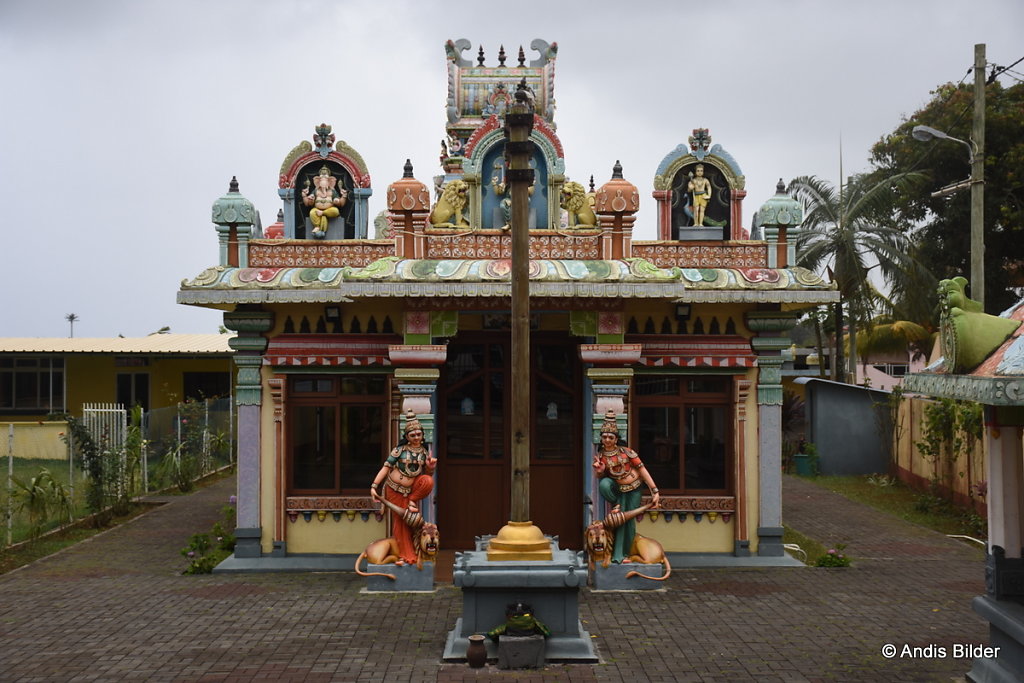 DSC-5921.JPG