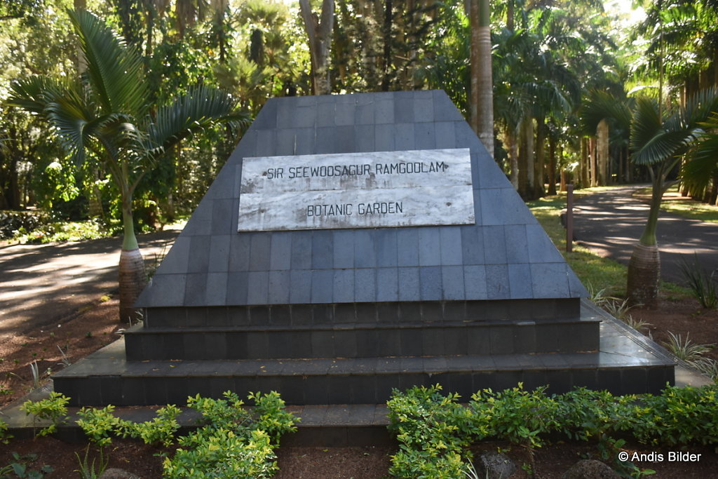DSC-5925.JPG