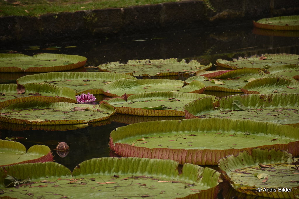 DSC-5985.JPG