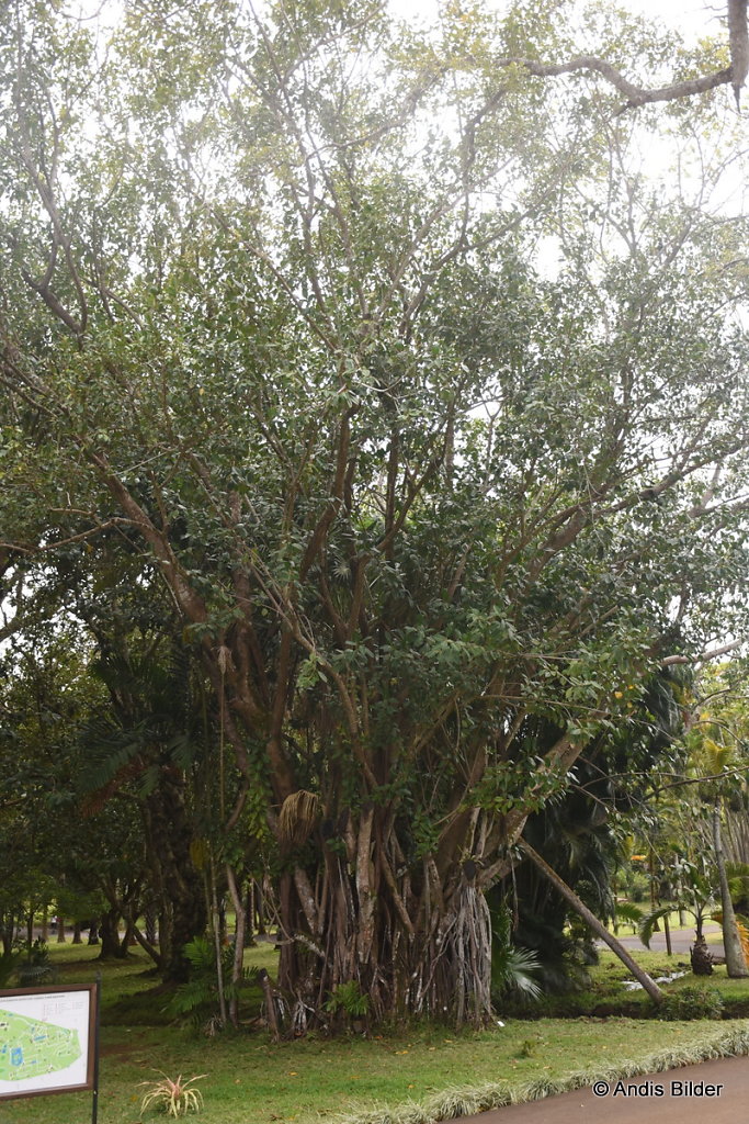 DSC-6007.JPG