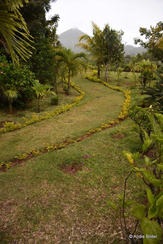 DSC-6200.JPG