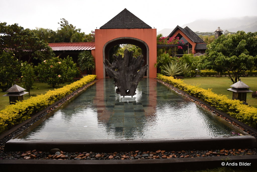 DSC-6214.JPG