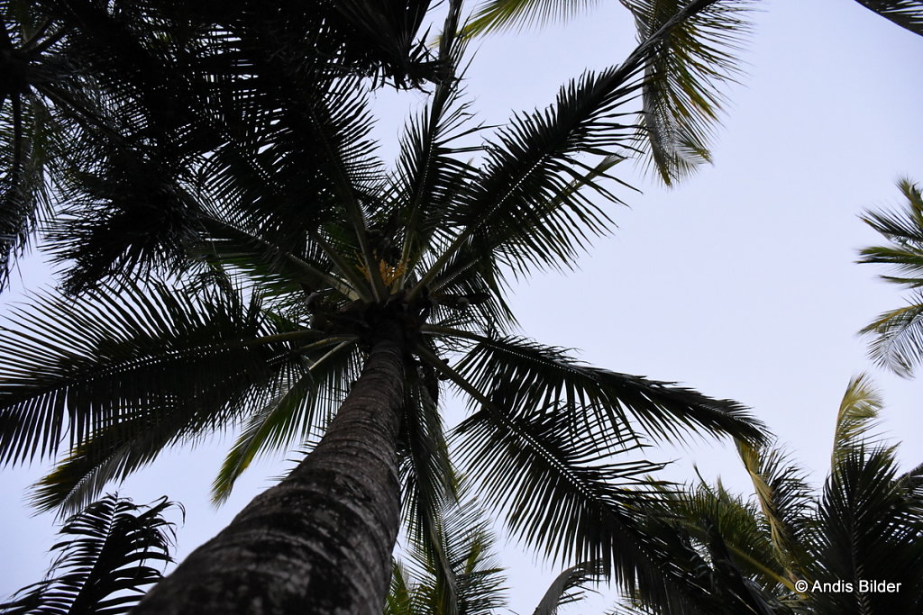 DSC-6925.JPG