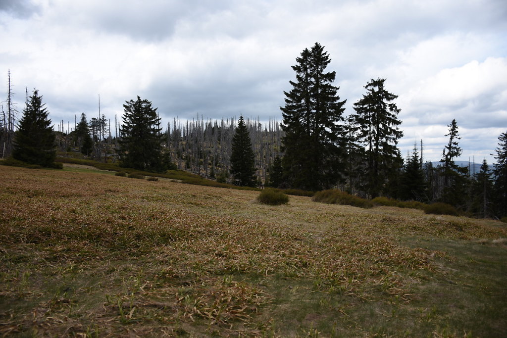 DSC-8363.JPG