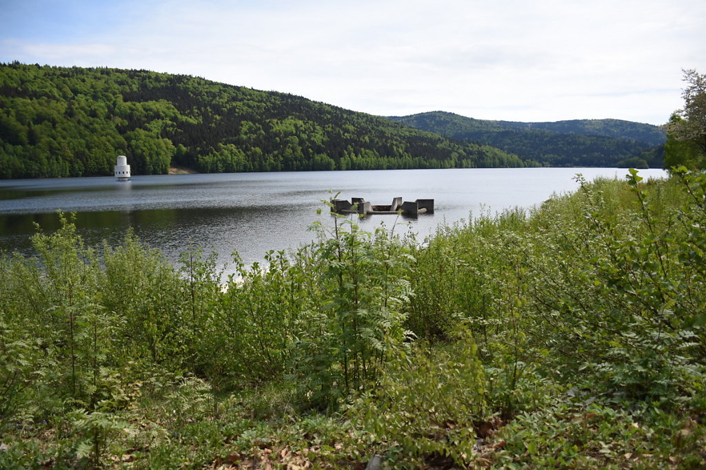 DSC-8194.JPG