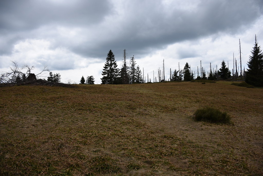 DSC-8359.JPG
