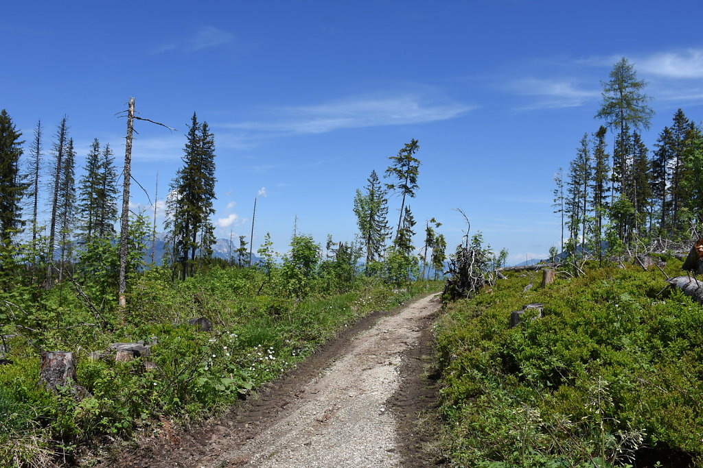 DSC-9307.JPG