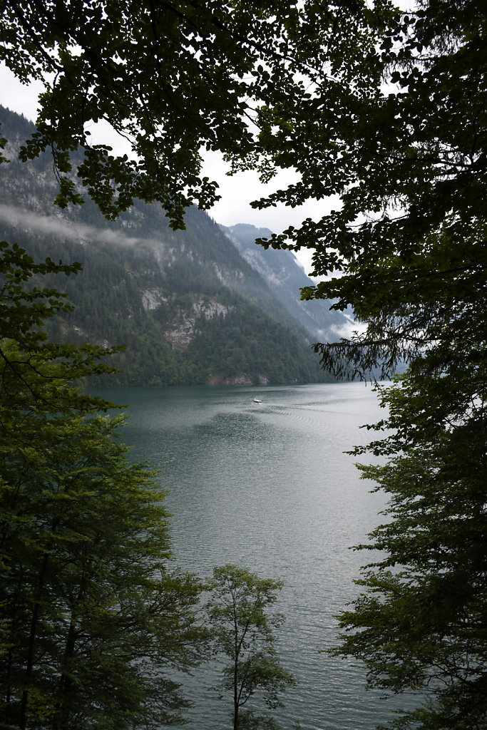 DSC-9863.JPG