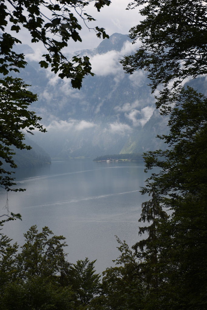 DSC-9866.JPG