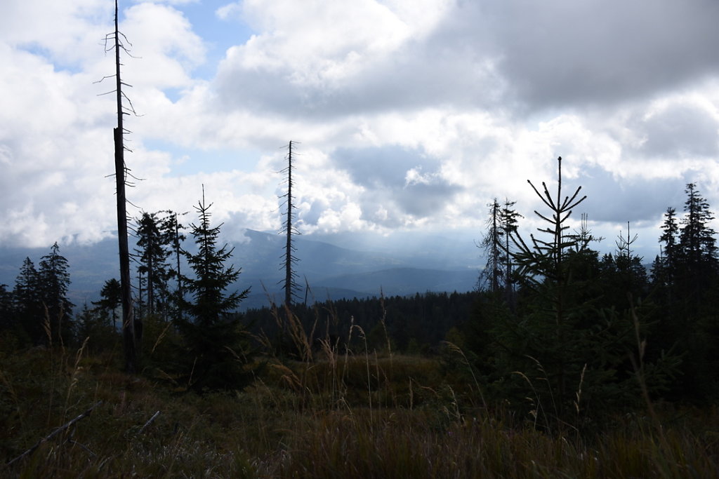 34-DSC-2104.JPG