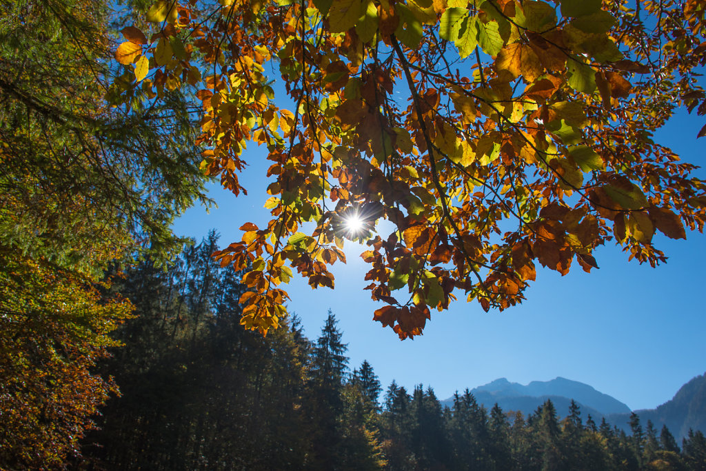 2018-10-Koenigssee-3.jpg