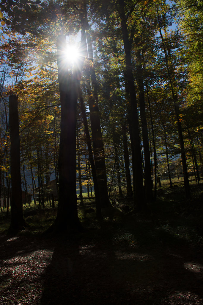 2018-10-Koenigssee-6.jpg